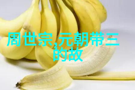 许衡(1209年1281年)