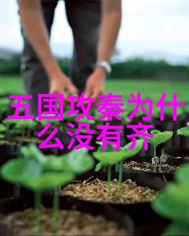 息妫()