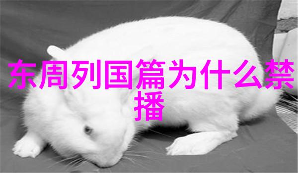 华阳夫人(约前296前230年)