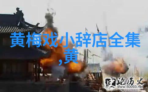 赵媛媛 黄梅戏旦行演员 赵媛媛