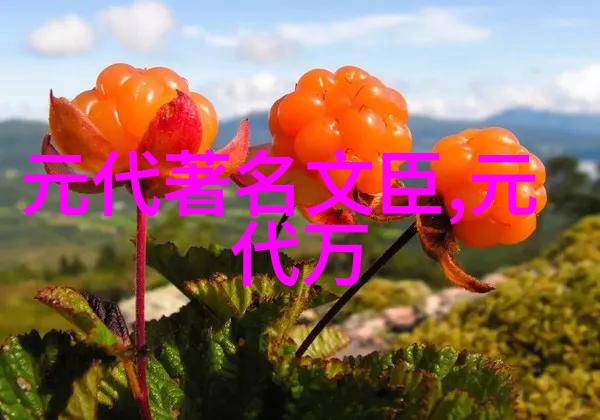 黄公望(12691354)